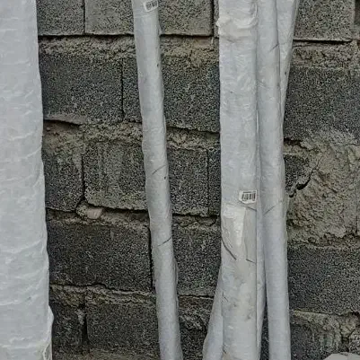 اجاره سالن در جاده سرنجیانه علیا|اجارهٔ دفتر صنعتی، کشاورزی، تجاری|سنندج, |دیوار