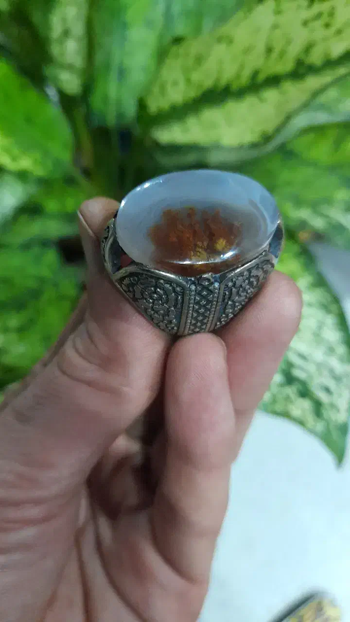 انگشتر شجر زیبای گل اناری|کلکسیون اشیاء عتیقه|رشت, عینک|دیوار