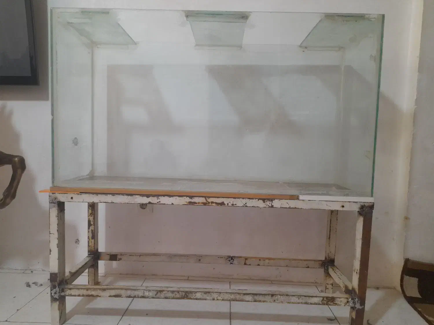 آکواریوم|ماهی|سهند, |دیوار