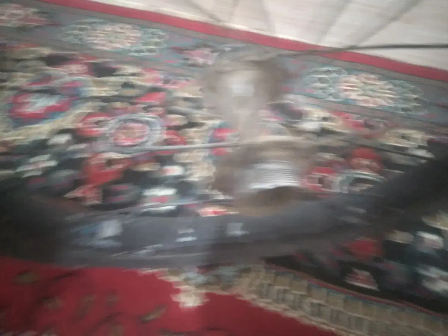 دچرخه|دوچرخه، اسکیت، اسکوتر|هامون, |دیوار