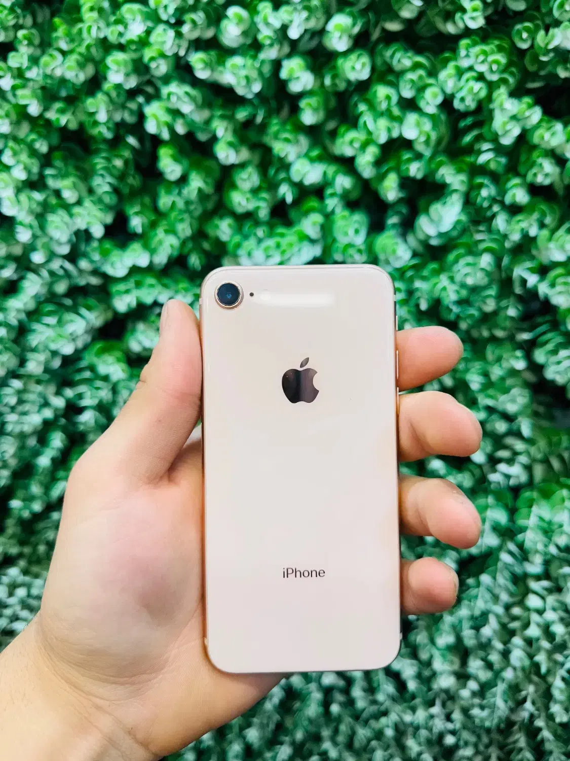 Iphone 8|موبایل|تهران, نازی‌آباد|دیوار