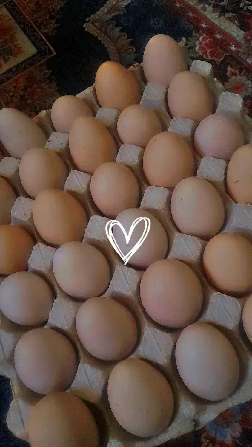 تخمرغ|خوردنی و آشامیدنی|نیشابور, رحمت آباد|دیوار