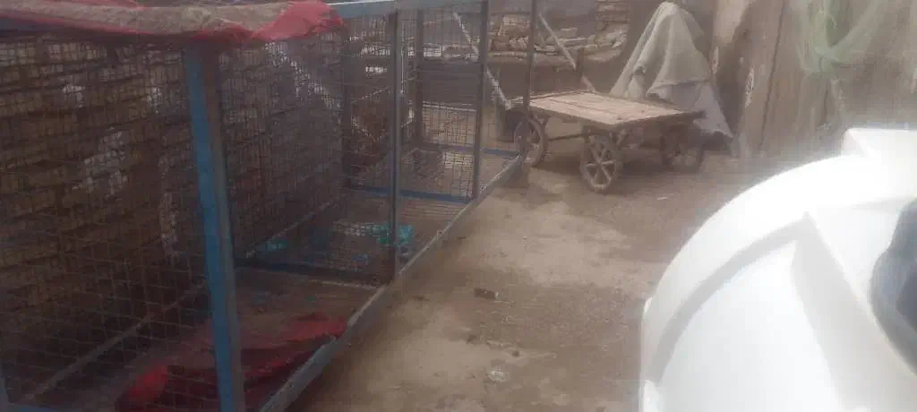 پرکن خونگیر قفس|فروشگاه و مغازه|حمیدیه, |دیوار