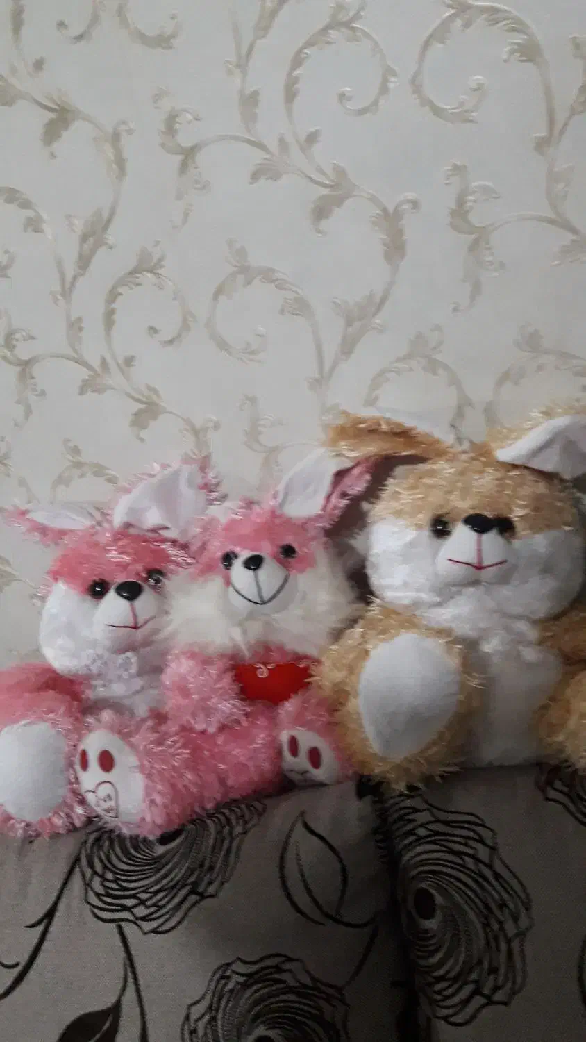 عروسک|اسباب‌بازی بچه|کرمانشاه, |دیوار