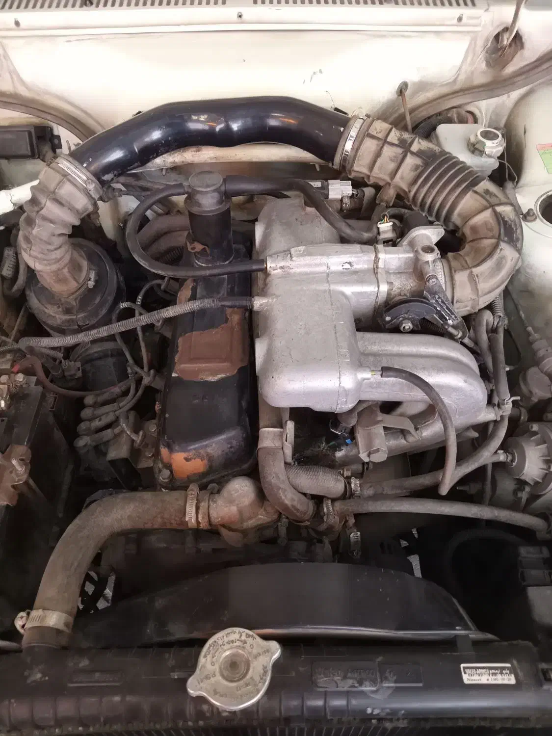 فروش نقدی|خودرو سواری و وانت|آشخانه, |دیوار