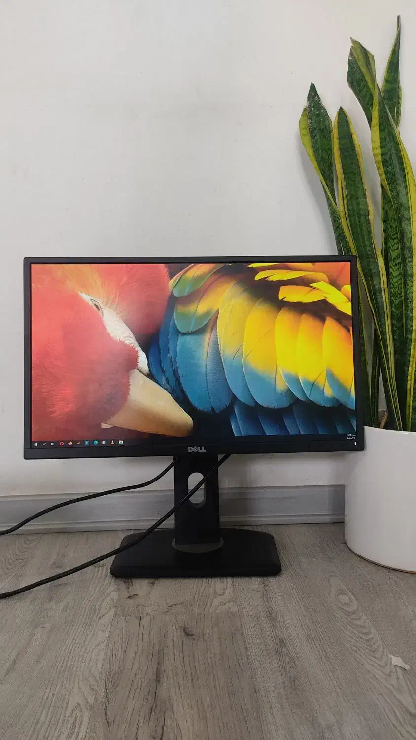 مانیتور hdmi 22 dell فول اچ دی|قطعات و لوازم جانبی رایانه|شیراز, زند|دیوار