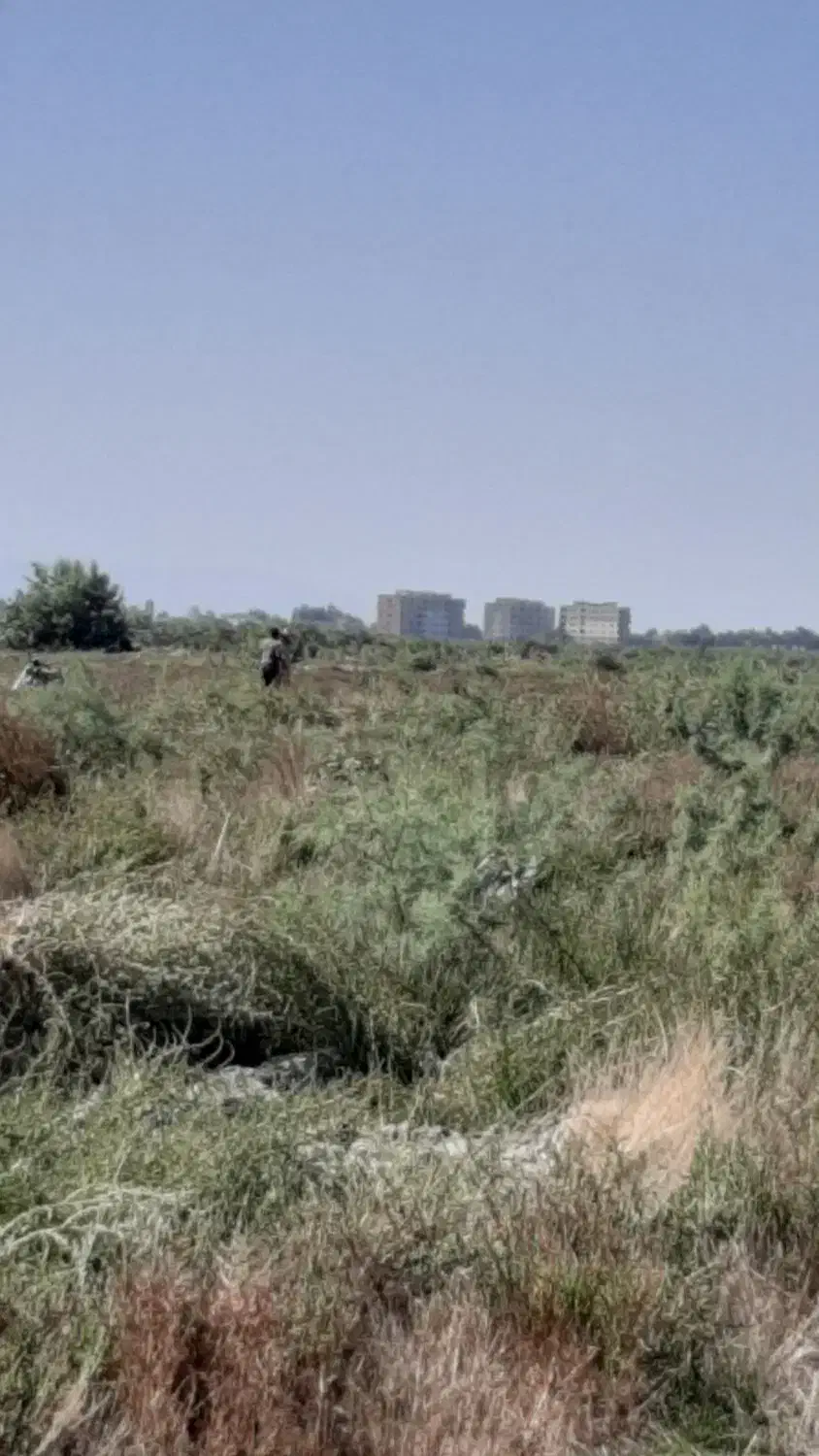 کارگر مزرعه از شهرستان نیازمندیم|استخدام صنعتی، فنی، مهندسی|بندر گز, |دیوار