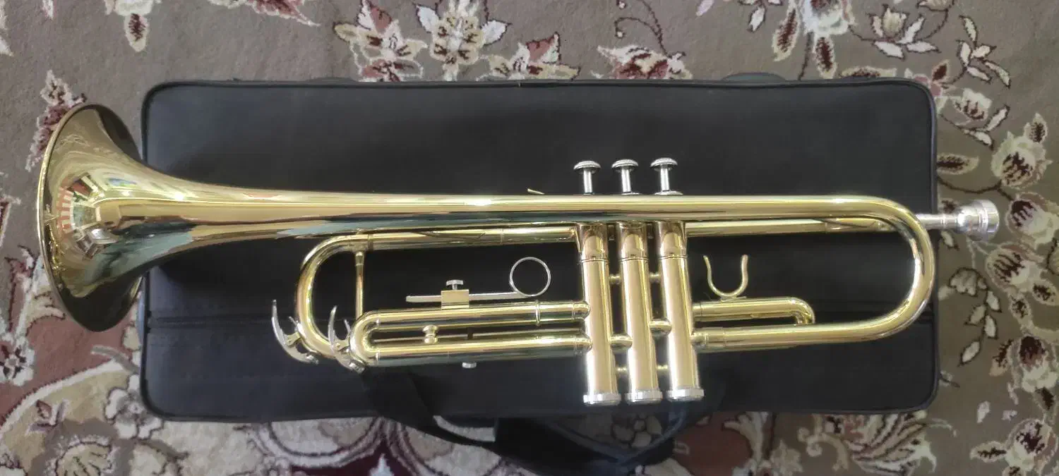 ترومپت|سازهای بادی|اصفهان, عاشق‌آباد|دیوار