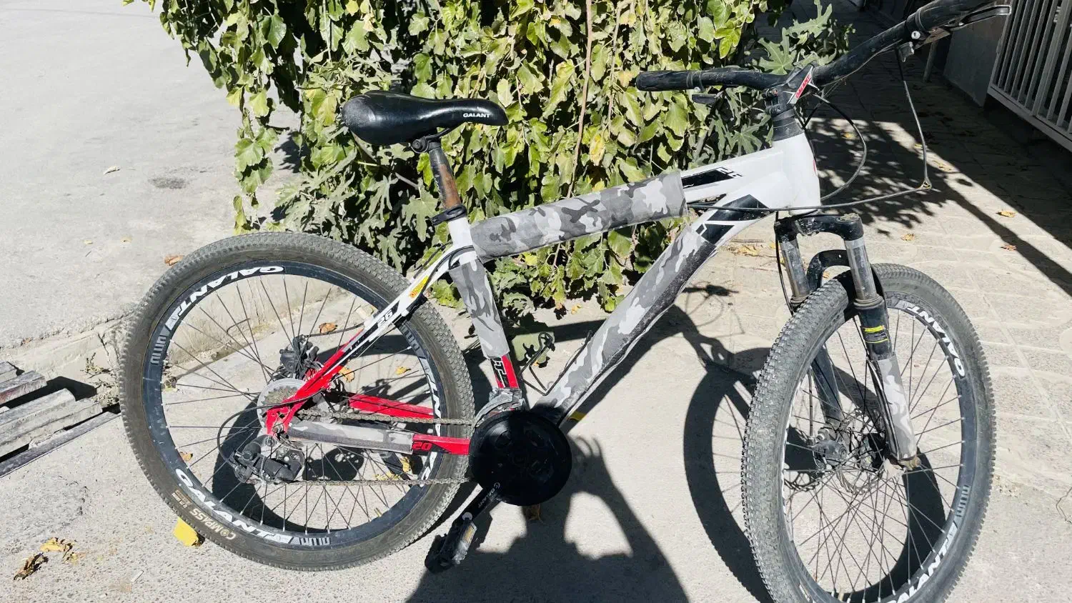 دوچرخه 26|دوچرخه، اسکیت، اسکوتر|کبودرآهنگ, |دیوار