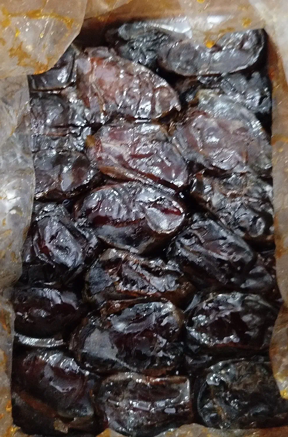 خرمای کبکاب بوشهر|خوردنی و آشامیدنی|نوشهر, |دیوار