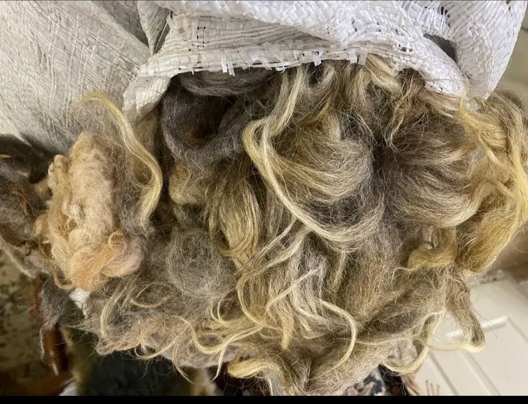 پشم گوسفندی (یون) ۱۵ کیلو تمیز بزرگ|رختخواب، بالش، پتو|تبریز, |دیوار