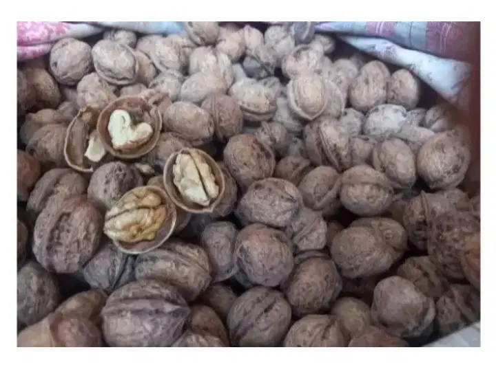 گردو|خوردنی و آشامیدنی|مشهد, تبادکان|دیوار