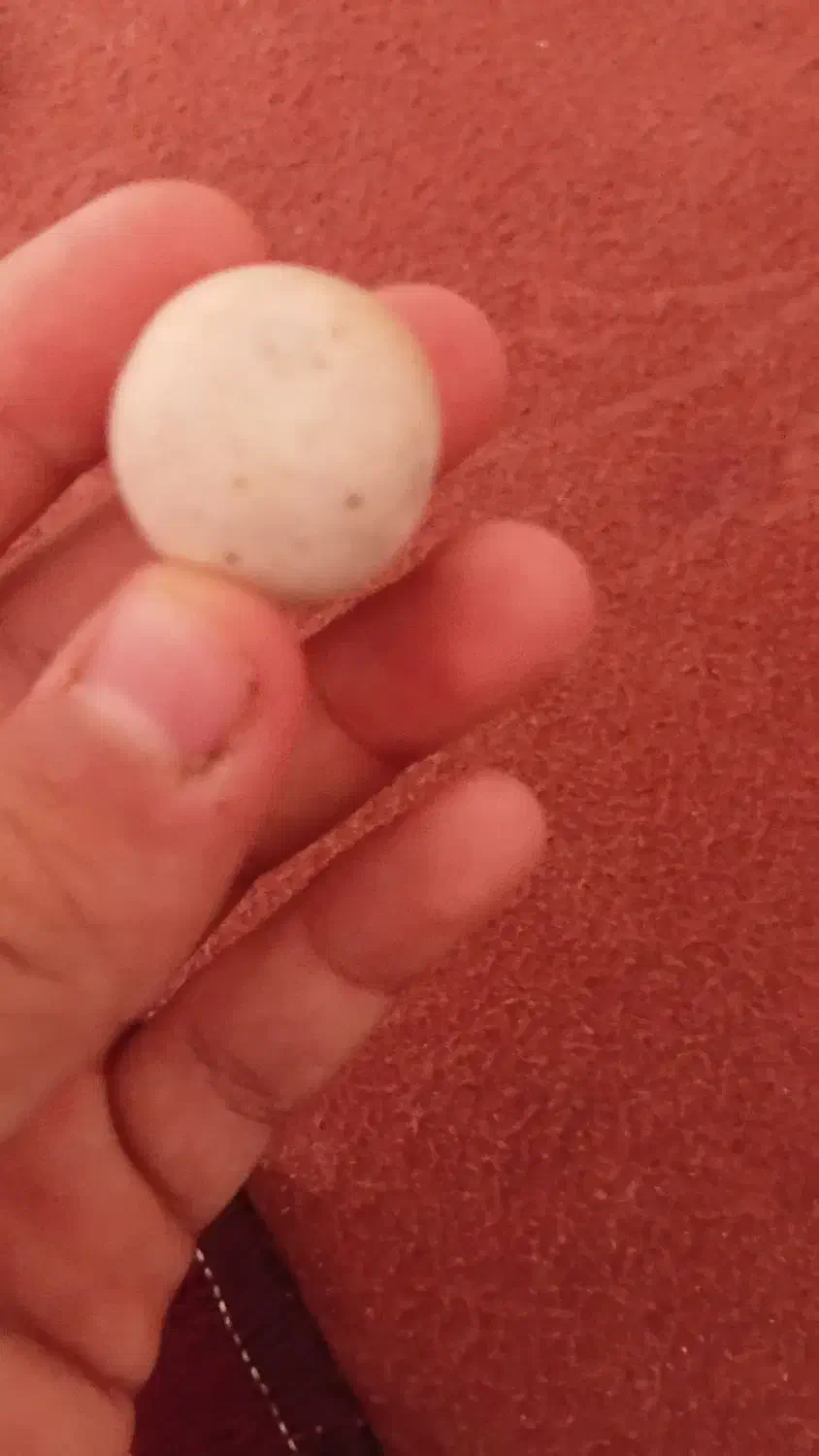 تعدادی سنگ قیمتی اصل|کلکسیون اشیاء عتیقه|صفادشت, |دیوار