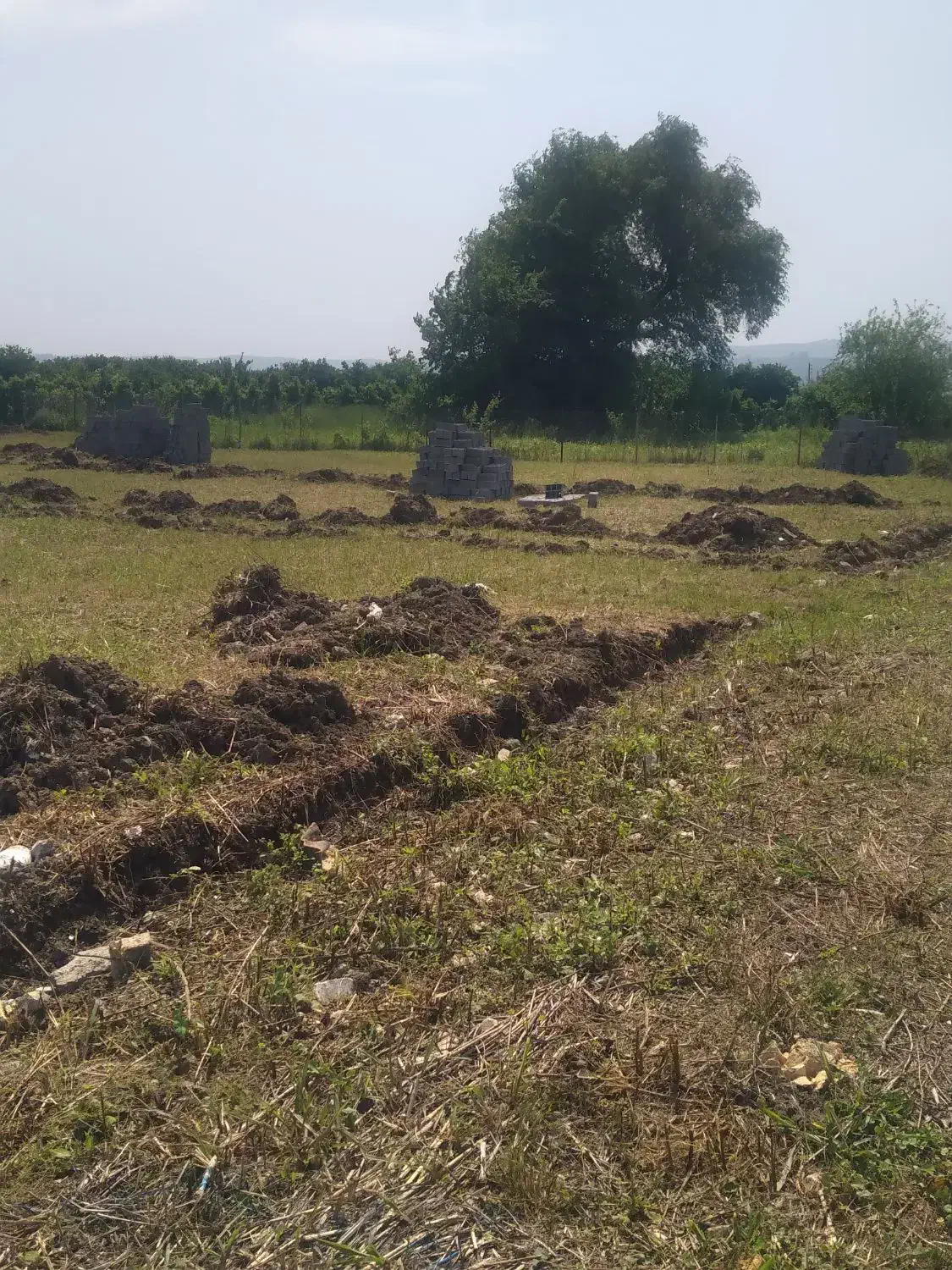 فروش ۵۰۰ متر زمین|فروش زمین و ملک کلنگی|ساری, |دیوار