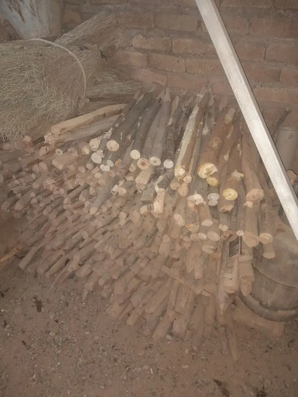 میخ چوبی|ابزارآلات|نورآباد, |دیوار