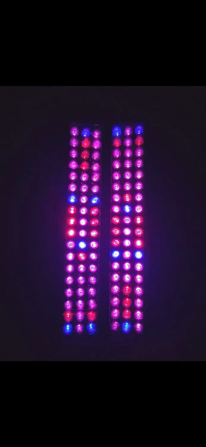 لامپ ال ای دی رشد گیاه|لامپ و چراغ|لنگرود, |دیوار