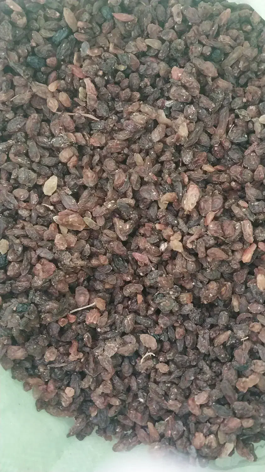 کشمش افتابی درجه یک|خوردنی و آشامیدنی|یزد, |دیوار