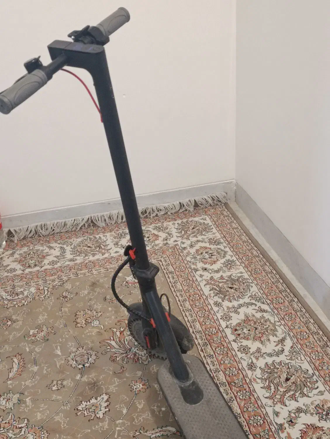 اسکوتر برقی|دوچرخه، اسکیت، اسکوتر|نی‌ریز, |دیوار