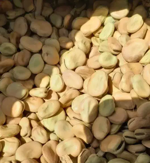 باقله|خوردنی و آشامیدنی|خرم‌آباد, |دیوار