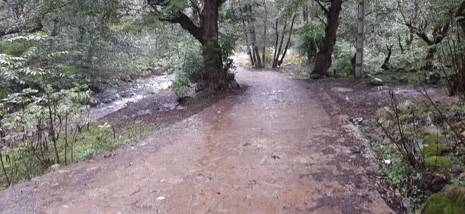 رودخانه و جنگل در همین نزدیکی|اجارهٔ کوتاه‌مدت آپارتمان و سوئیت|سیاهکل, |دیوار