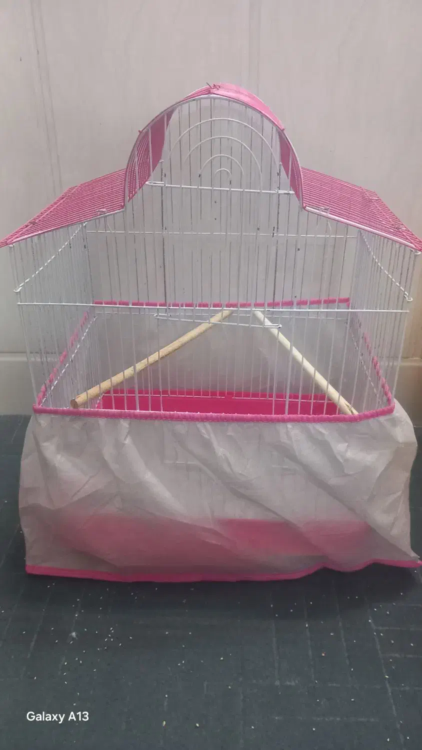 قفس خالی|لوازم جانبی حیوانات|قم, ولیعصر|دیوار