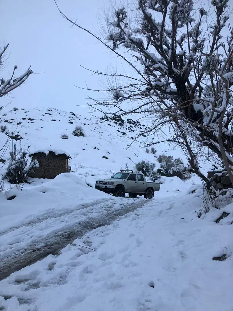 تویوتا هایلوکس دوکابین مدل 1996|خودرو سواری و وانت|مشهد, ابوذر|دیوار