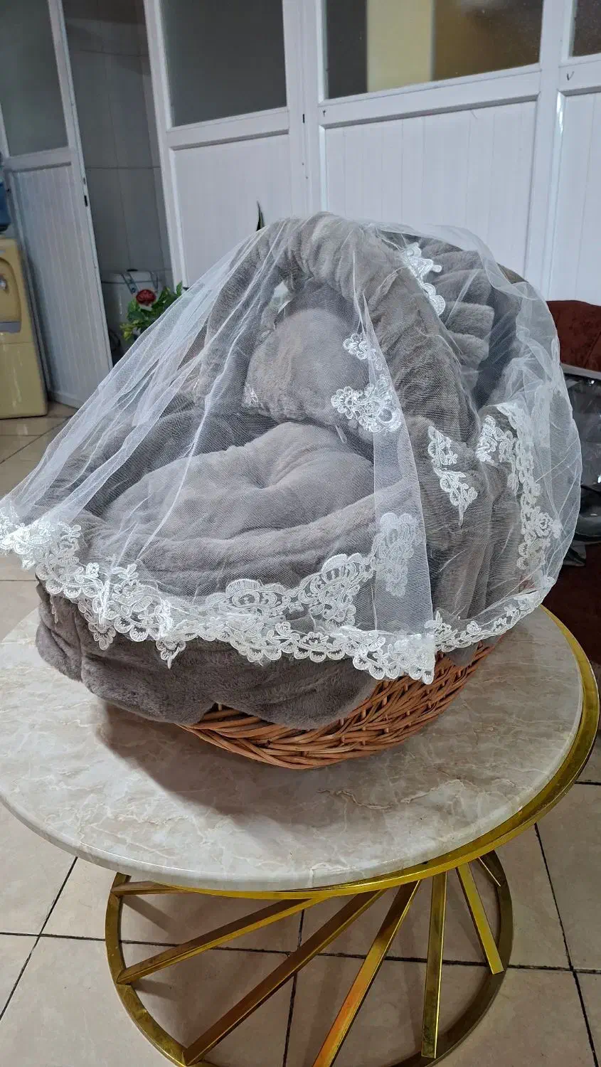 فروش کریر فانتزی نوزاد|کالسکه و لوازم جانبی|قرچک, شهرک طلائیه|دیوار