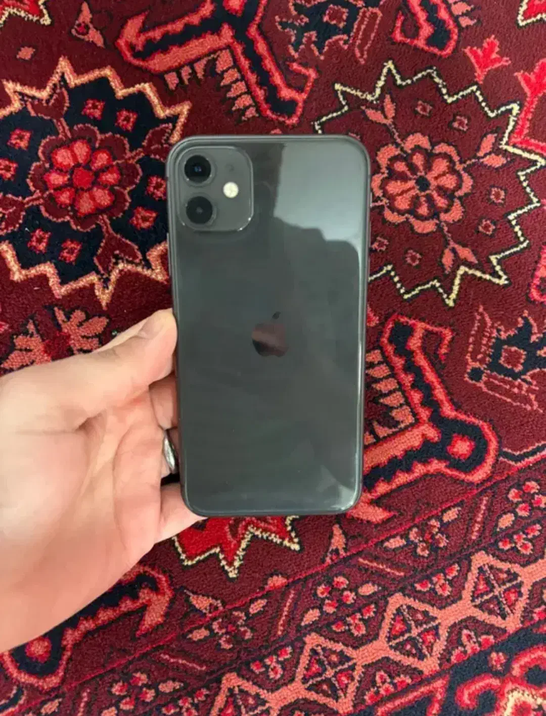 iphone 11|موبایل|رباط‌کریم, رباط‌کریم|دیوار
