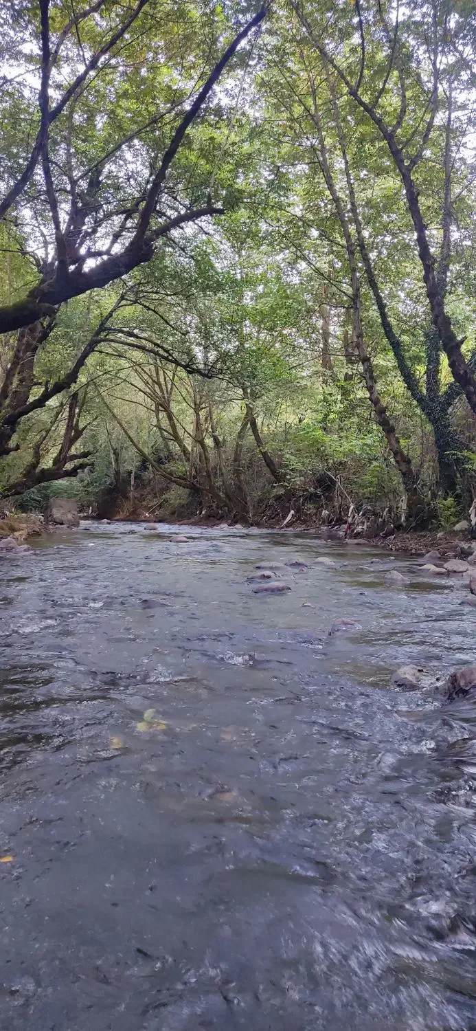 اجاره روزانه اقامتگاه  همرا با اتاق و سوئیت|اجارهٔ کوتاه‌مدت آپارتمان و سوئیت|رستم‌آباد, |دیوار