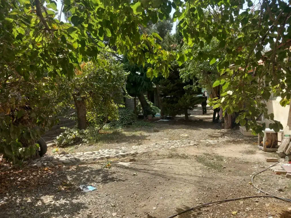 فروش سوله و ملک|فروش دفتر صنعتی، کشاورزی، تجاری|محمدشهر, محمدشهر|دیوار