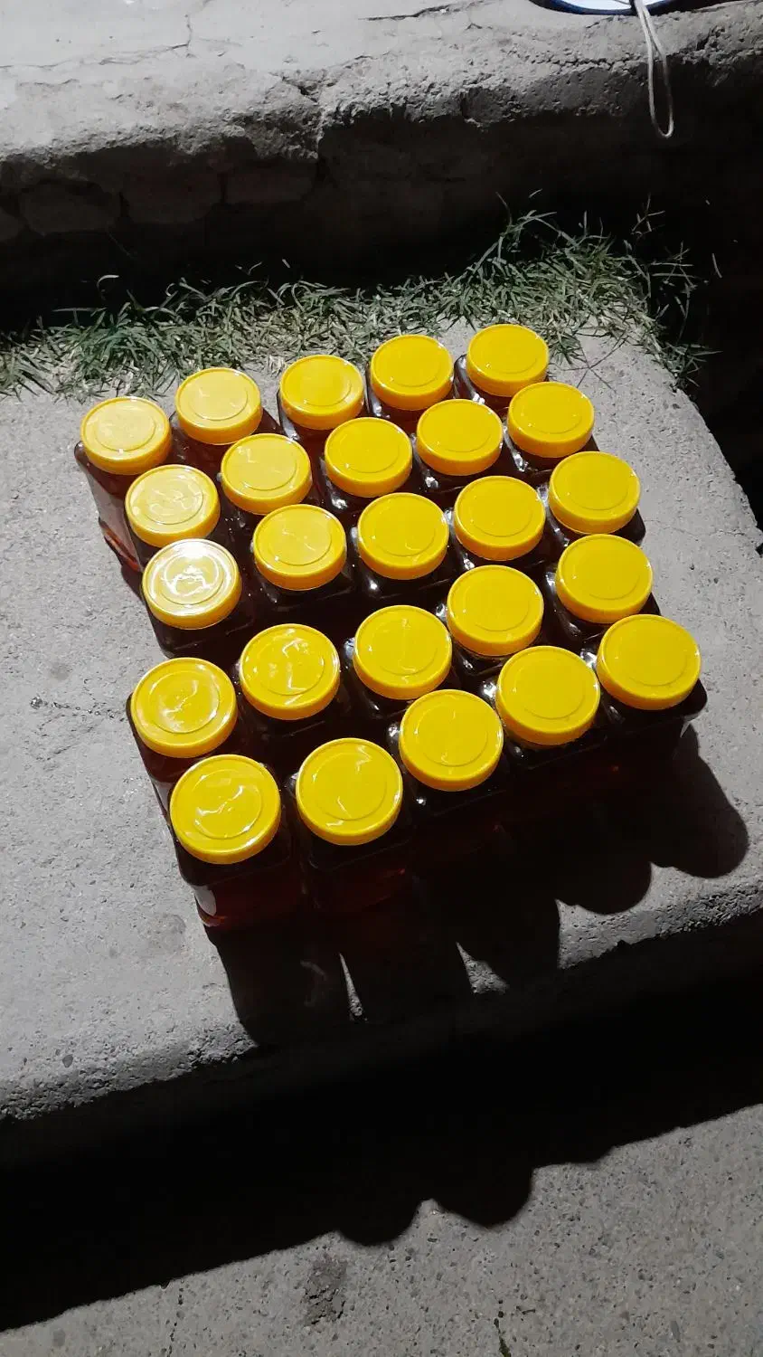 عسل طبیعی|خوردنی و آشامیدنی|محمدبار, |دیوار