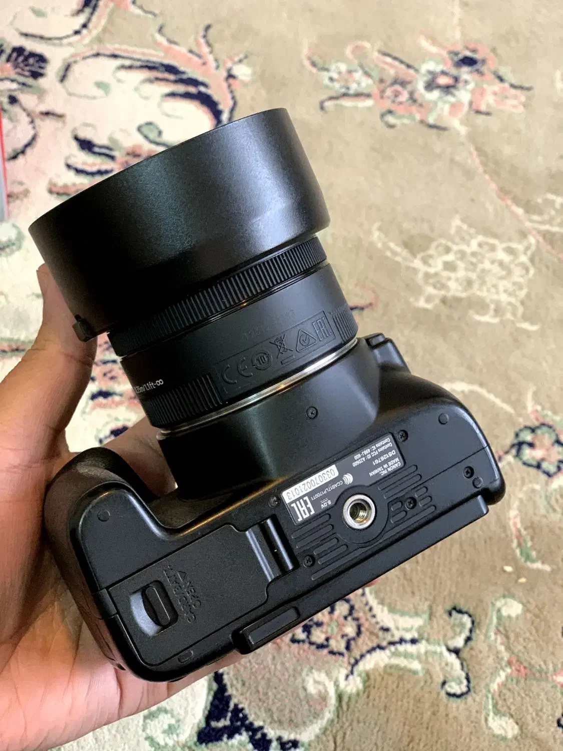 دوربین 250D canon همراه با لنز 50mm فیکس|دوربین عکاسی و فیلم‌برداری|تهران, آهنگ|دیوار