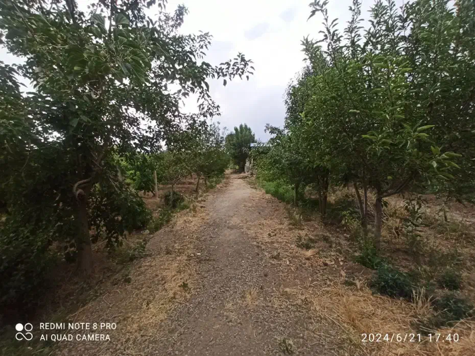 اجاره یا فروش کارگاه|اجارهٔ دفتر صنعتی، کشاورزی، تجاری|بناب, |دیوار