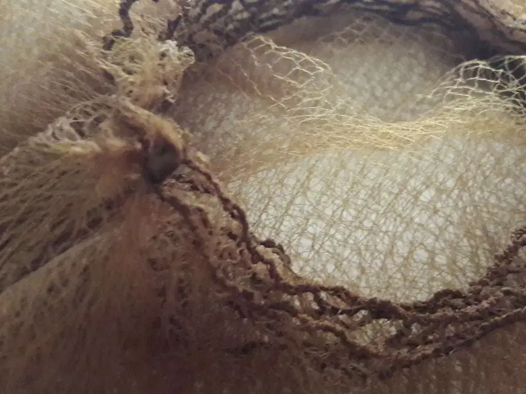 تور شینیون|آرایشی، بهداشتی، درمانی|گنبد کاووس, |دیوار