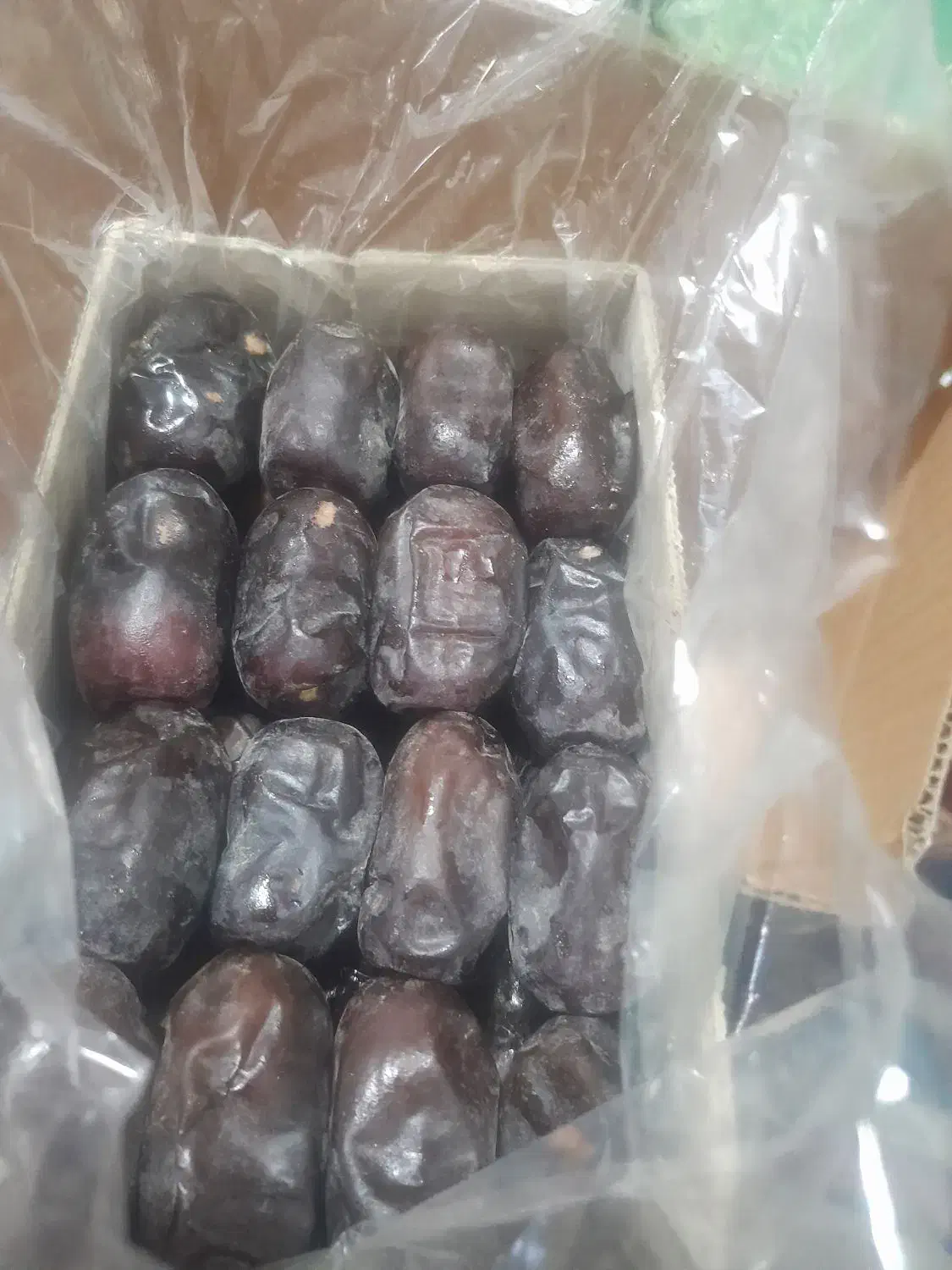 خرمامضافتی ریگان|عمدهفروشی|ریگان, |دیوار