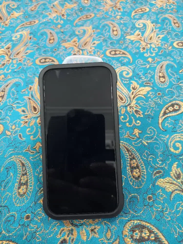 موبایل آیفون ۱۴|موبایل|رشت, شهرک آیت الله منتظری|دیوار