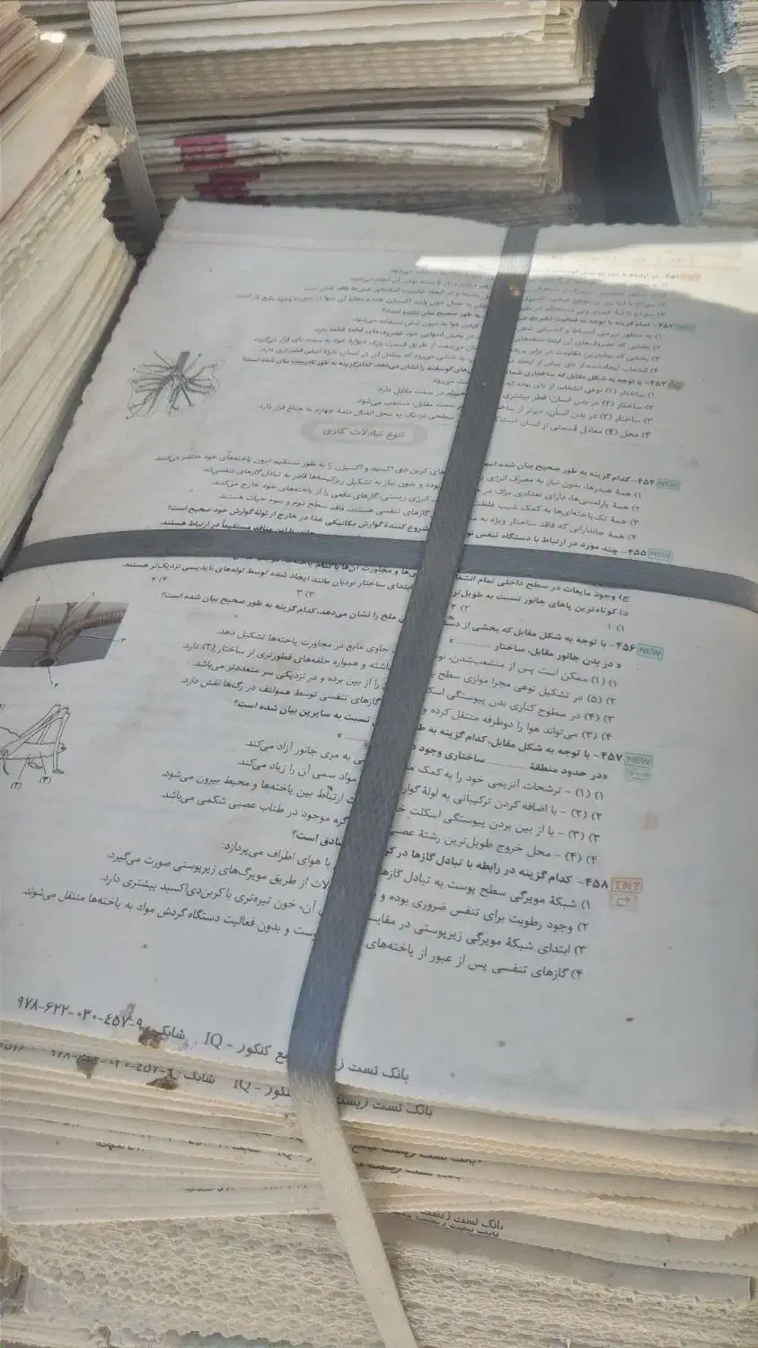 روزنامه باطله|عمدهفروشی|کوهدشت, |دیوار