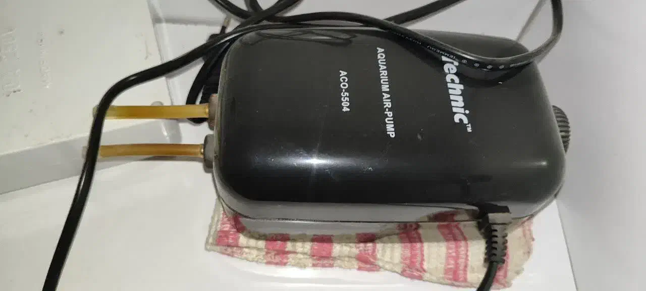 آکواریوم شرکتی بزرگ ماهیران با کلیه متعلقات|ماهی|یزد, |دیوار