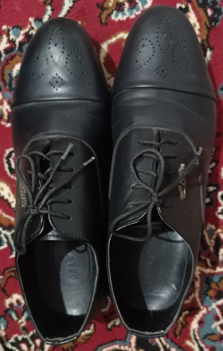 کفش نو|کیف، کفش، کمربند|کرمانشاه, |دیوار