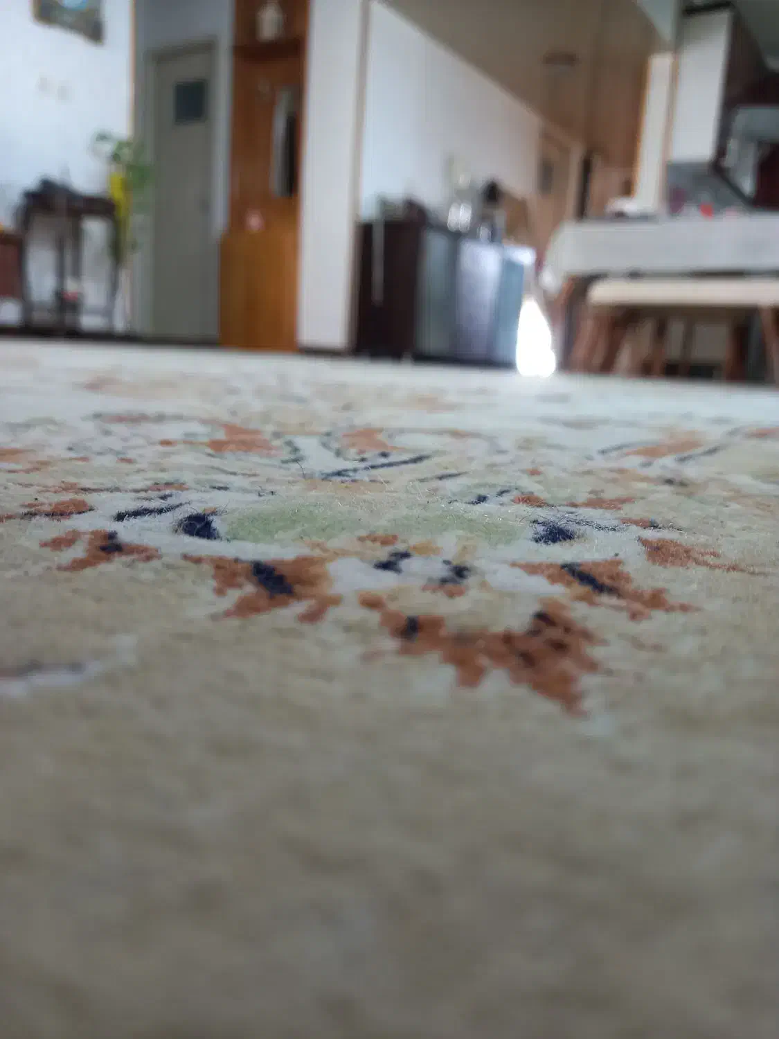 فرش|فرش|فولادشهر, B6|دیوار