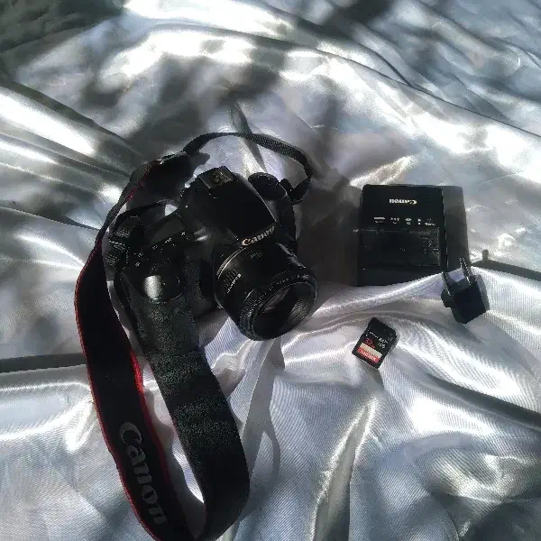 دوربین عکاسی Canon 60D|دوربین عکاسی و فیلم‌برداری|شهرکرد, |دیوار