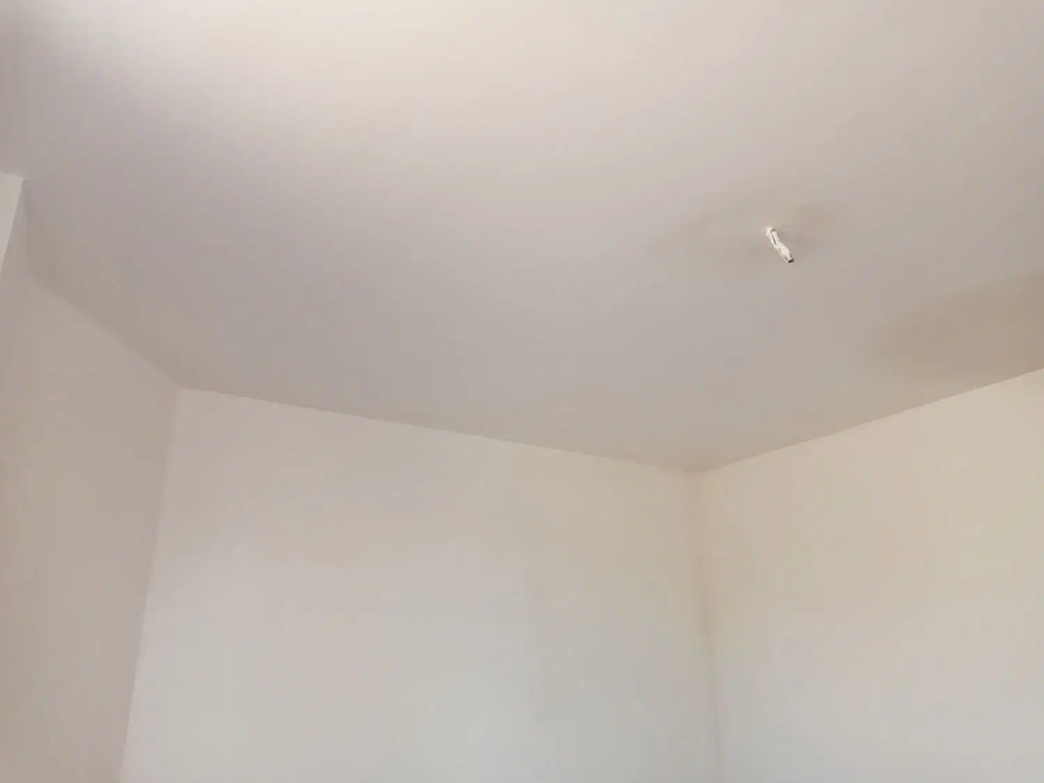 گچ و خاک و سفید کاری ساختمان|خدمات پیشه و مهارت|برخوار, |دیوار