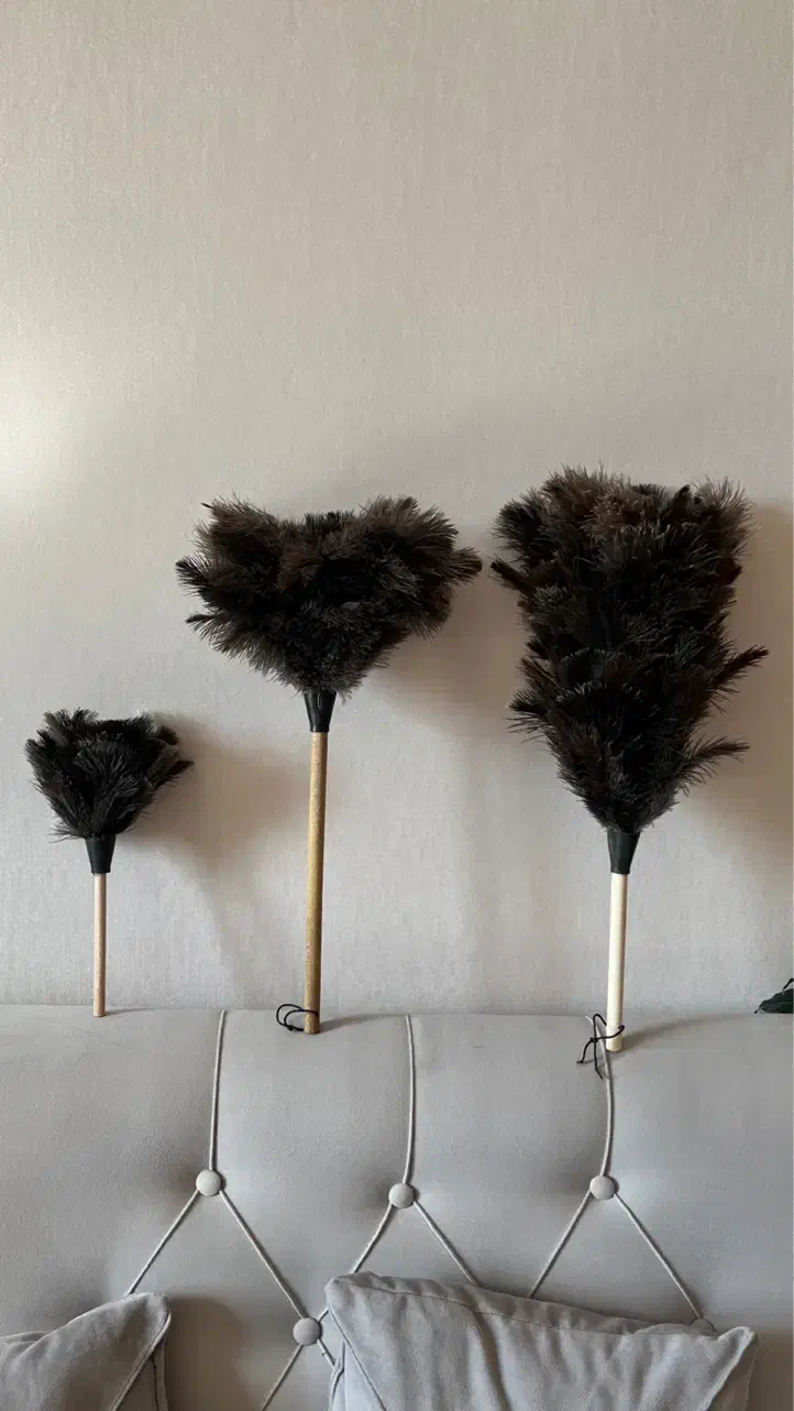 گردگیر پر شترمرغ عمده و تک|لوازم نظافت|تهران, نیروی هوایی (پیروزی)|دیوار