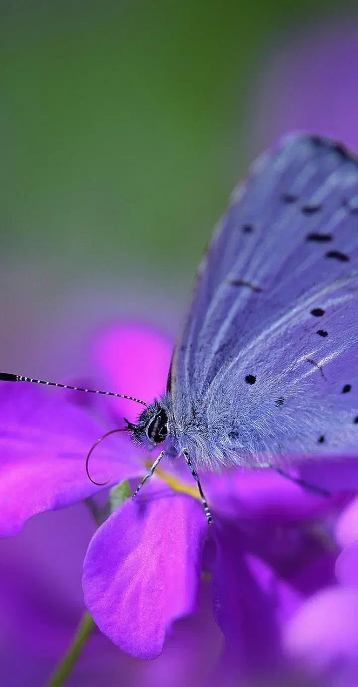 لطفا وارداین قسمت از میلی بشید ممنونم از همتون|کارت هدیه و تخفیف|سوسنگرد, |دیوار