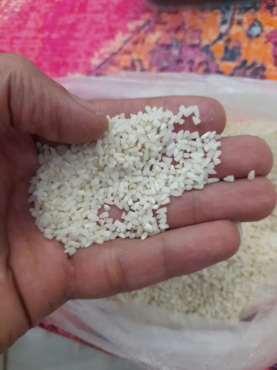 برنج نیم دانه هاشمی|خوردنی و آشامیدنی|رشت, نیکمرام|دیوار