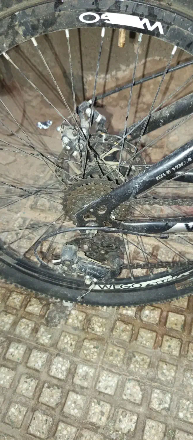 دوچرخه ۲۴|دوچرخه، اسکیت، اسکوتر|یزد, |دیوار