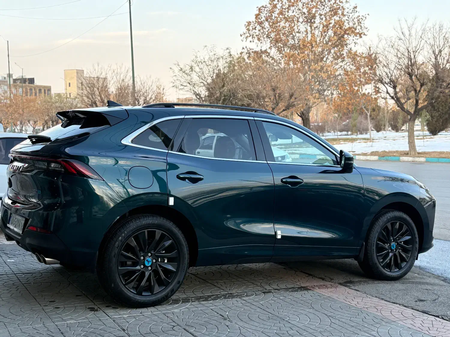 لاماری خشک ۱۴۰۴|خودرو سواری و وانت|تهران, سردارجنگل|دیوار