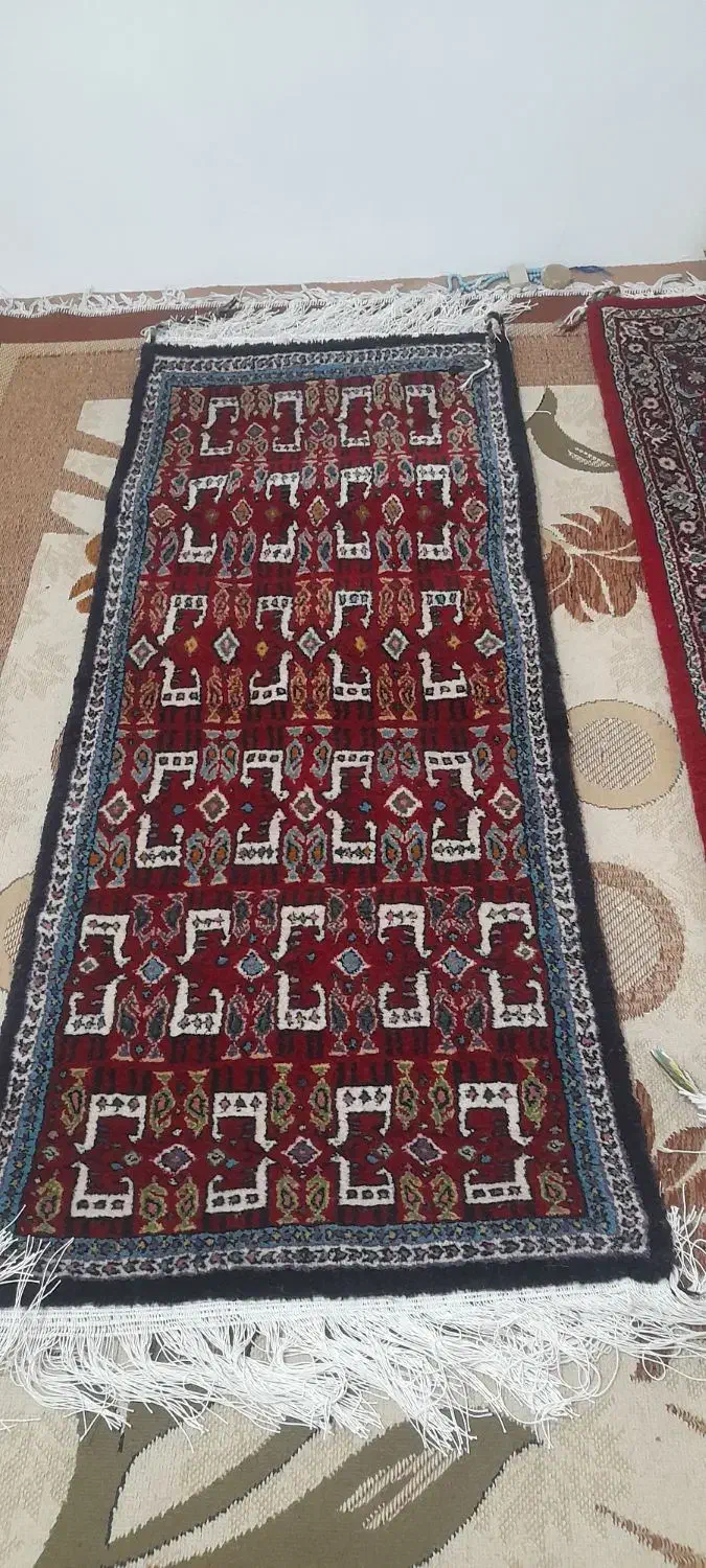 فرش دستبافت|فرش|زنجان, |دیوار