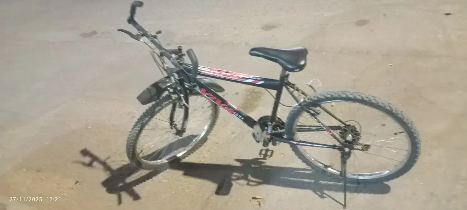 دوچرخ|دوچرخه، اسکیت، اسکوتر|تربت‌حیدریه, حسنی بالا|دیوار