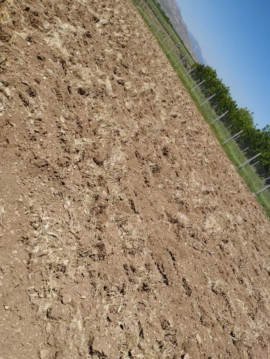 فروش زمین دارای مجوز گل خانه|فروش دفتر صنعتی، کشاورزی، تجاری|دورود, |دیوار